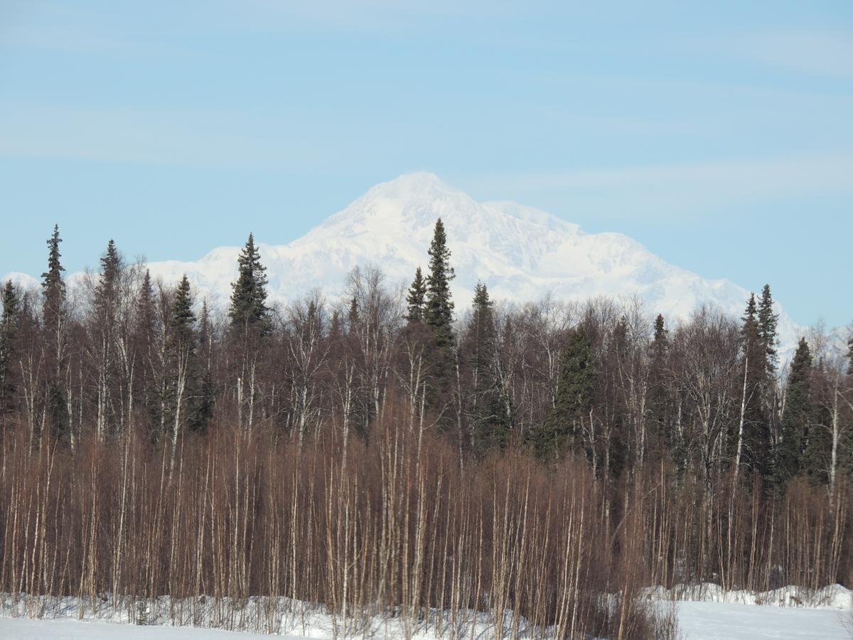 Falcon'S Nest Bed And Breakfast Talkeetna Εξωτερικό φωτογραφία